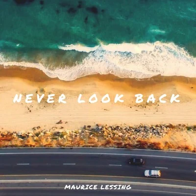 Never Look Back 专辑 Maurice Lessing/Hugel/Alle Farben/Lizzy Wang/Fast Boy