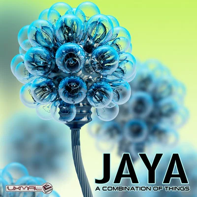 A Combination Of Things 專輯 Jaya