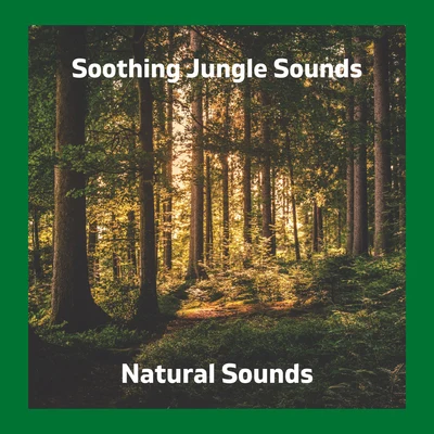 Soothing Jungle Sounds 專輯 Natural Sounds/Meditation Rain Sounds/nature & Sounds Background