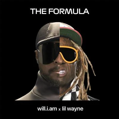 will.i.amDavid GuettaKNaan THE FORMULA