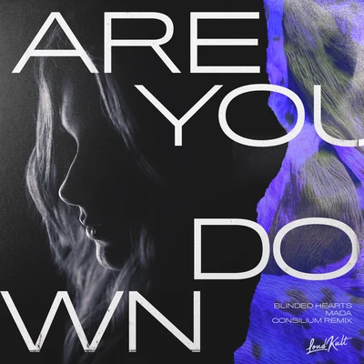 Are You Down (Consilium Remix) 专辑 Mada/Perc/Plankton/Luigi Madonna/Alejandro Trebor