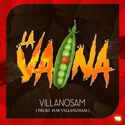 La Vaina 專輯 Vic J/Villanosam/Mr. Wave