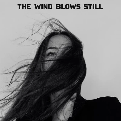 The Wind Blows Still 專輯 Relaxing Acoustic Guitar/Guitar Instrumentals