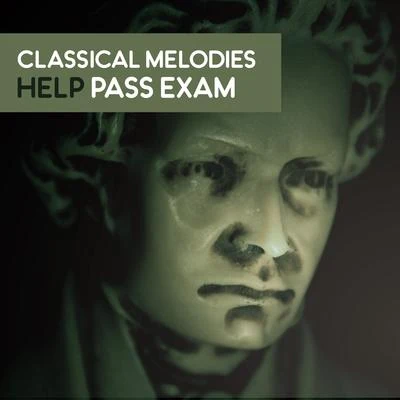 Classical Melodies Help Pass Exam – Music for Study, Mozart, Beethoven to Work, Focus, Pure Mind, Stress Relief 专辑 Villa Musica Ensemble/Classical Music Songs/Leonard Hokanson