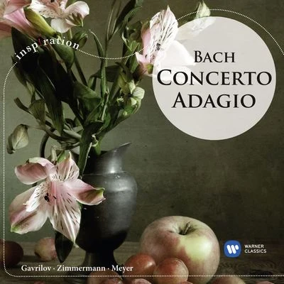 Andrei Gavrilov Concerto Adagio: Bach