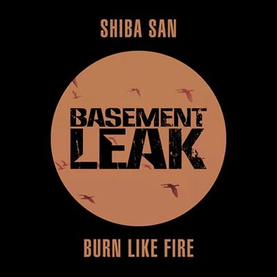 Burn Like Fire 專輯 Shiba San