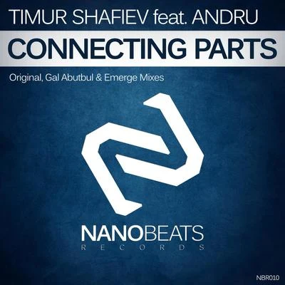 Timur Shafiev Connecting Parts