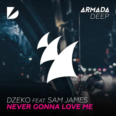 Never Gonna Love Me 專輯 Dzeko/Dimitri Vangelis & Wyman