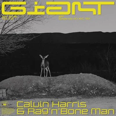 Giant 專輯 Shake Duke/Calvin Harris/D.R.