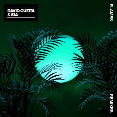 Flames (Remixes) 專輯 David Guetta