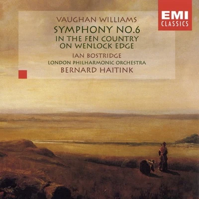 Vaughan Williams: Symphony No. 6In the Fen CountryOn Wenlock Edge 专辑 Bernard Haitink/Wiener Philharmoniker/Vladimir Ashkenazy