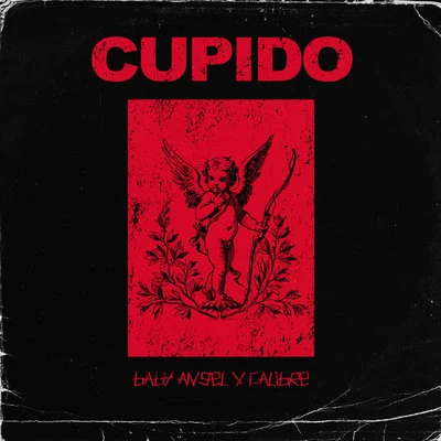 CalibrePablo Nouvelle Cupido