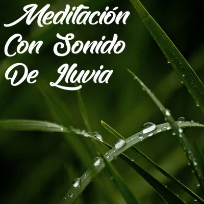 Sonidos De Lluvia: Meditación Con Sonido De Lluvia En Bucle, Sonido Relajante De Lluvia, Sonidos Ambientales Relajantes, Música De Yoga Y Masaje 专辑 Sonidos de la Naturaleza Relajacion