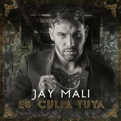 Es Culpa Tuya 专辑 Jay Maly