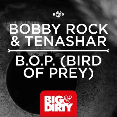 B.O.P. (BIRD OF PREY) 专辑 Bobby Rock