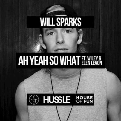 Ah Yeah So What (feat. Wiley & Elen Levon) 专辑 Will Sparks