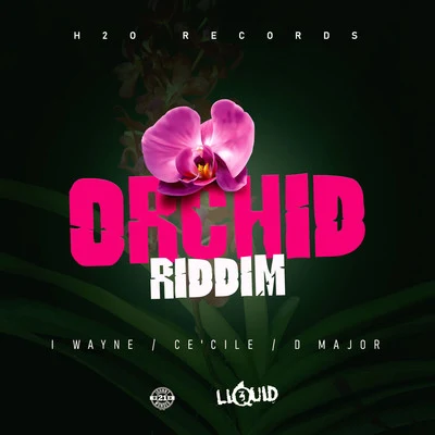 Orchid Riddim 專輯 D Major