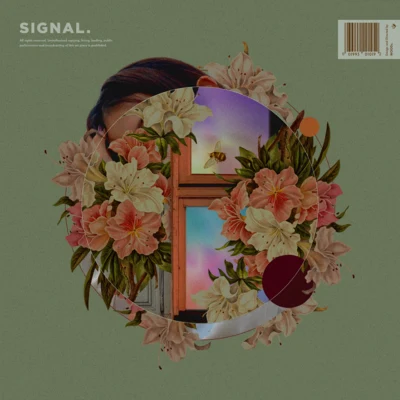 Signal 专辑 PUP