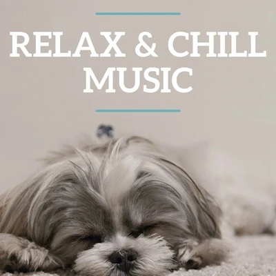 Relax & Chill Music 专辑 Edgar Cree/Jules Massenet/Doris Brasch/SABC Studio Orchestra