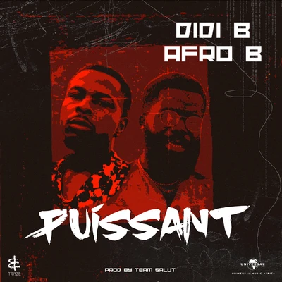 Puissant 專輯 Afro B/Ibbe