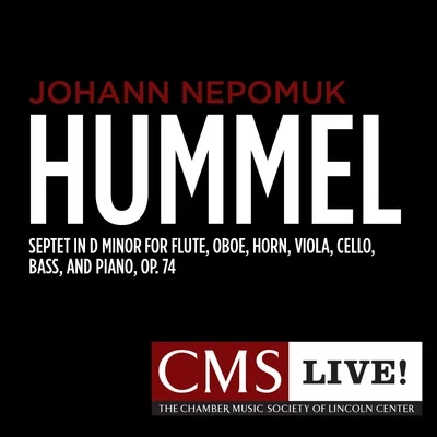 Hummel: Septet in D minor for Flute, Oboe, Horn, Viola, Cello, Bass, and Piano, Op. 74 專輯 Radovan Vlatkovic