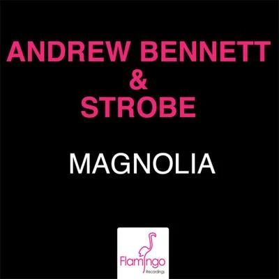 Magnolia (Extended Mix) 專輯 Strobe/Sebastian Ingrosso/Addy van der Zwan/Hardwell/Mark Brown