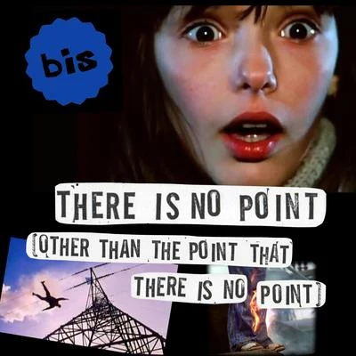 There Is No Point (Other Than the Point That There Is No Point) 专辑 Bis