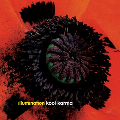 Kool Karma Remixes 專輯 Illumination/40 %/Joti, Paul Taylor and 40 %/Joti/Rinkadink and Mike Modular