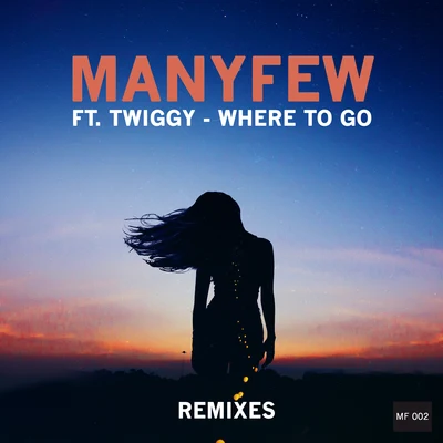 Where to Go (Remixes) 專輯 ManyFew