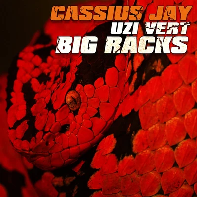 Big Racks 专辑 Cassius Jay