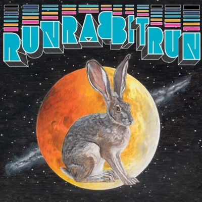 Run Rabbit Run 专辑 Shannon Stephens/Sufjan Stevens/My Brightest Diamond/Jim Guthrie