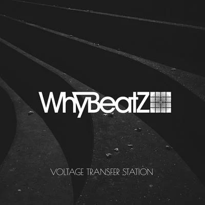 VOLTAGE TRANSFER STATION 专辑 严艺丹 (Ivy Yan)/WhyBeatZ