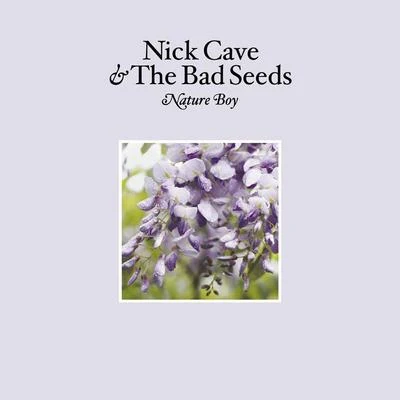 Nature Boy 專輯 Nick Cave & the Bad Seeds