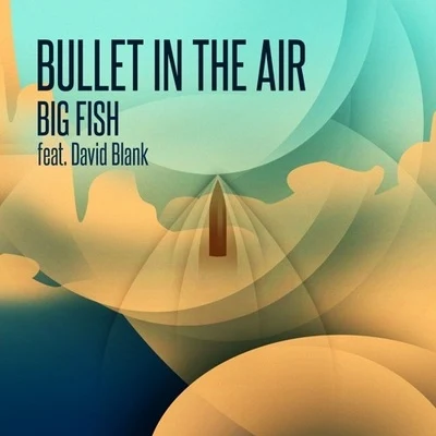 Bullet In The Air 专辑 Kende/David Blank/Big Fish