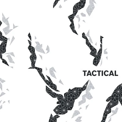 Tactical Collection 专辑 Paul Mac