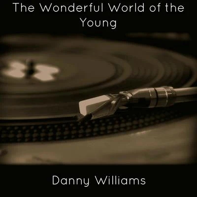 The Wonderful World of the Young 专辑 Danny Williams