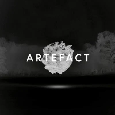 Artefact (Remixes) 專輯 Bruce Brubaker/Max Cooper