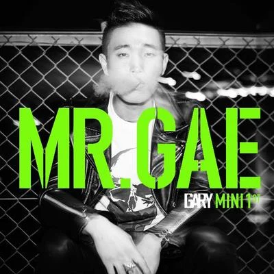 MR.GAE 專輯 Gary/디기리/成泰/朴明浩