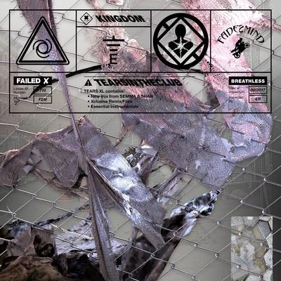 Into The Fold (Remix) 專輯 Marcus Price/Girl Unit/Crazy Pays/Kingdom/Carli