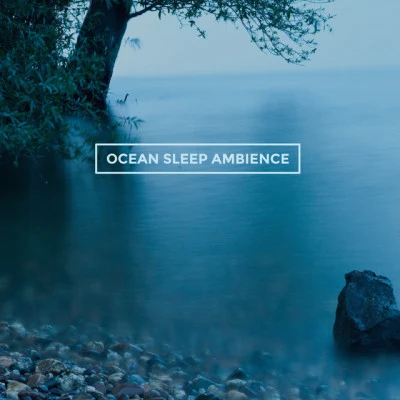 Ocean Sleep Ambience 专辑 Nature Sounds for Sleep and Relaxation