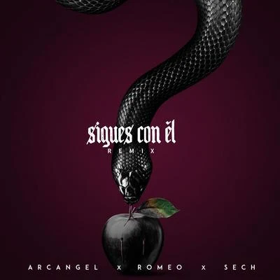 Sigues Con El (Remix) 專輯 Romeo Santos