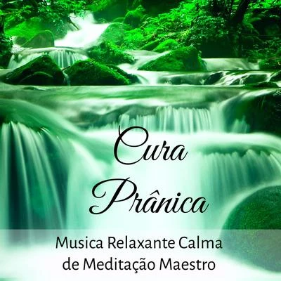 Cura Prânica - Musica Relaxante Calma de Meditação Maestro para Centro de Força Terapia de Som com Sons da Natureza Instrumentais New Age Suaves 專輯 Alma/Tove Lo