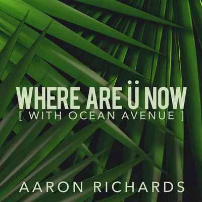 Aaron RichardsRaifCoopex Where Are Ü Now (feat. Ocean Avenue)