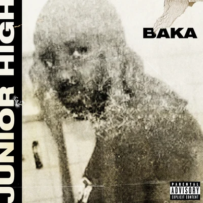 Baka Not Nice Junior High