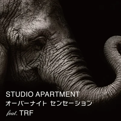 Studio ApartmentRae オーバーナイトセンセーション