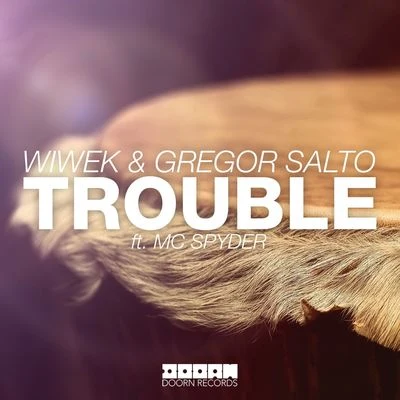 Trouble 專輯 Gregor Salto