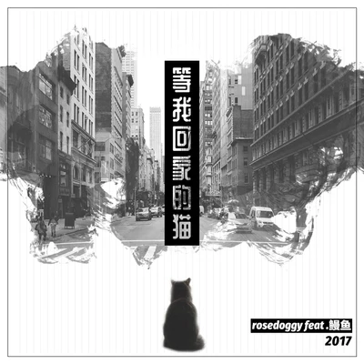 等我回家的猫 专辑 rosedoggy