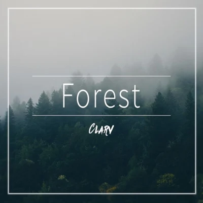 Forest 专辑 Clarv/Arkis