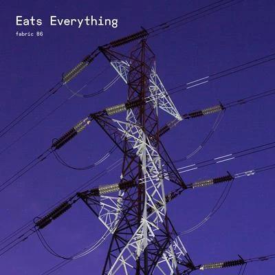 Eats EverythingScot Project fabric 86: Eats Everything