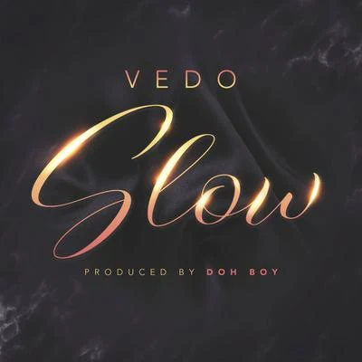 Slow 專輯 DJ G.O.D./Vedo